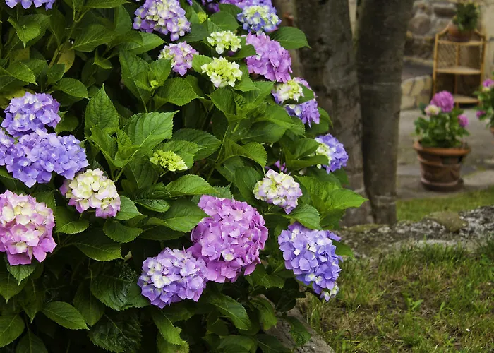 Bed & Breakfast Los Duendes *